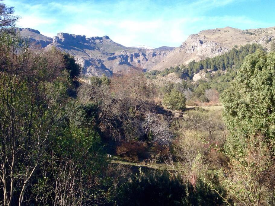 Holiday home Gardeners Delight La Casita Barrio Chapelco *