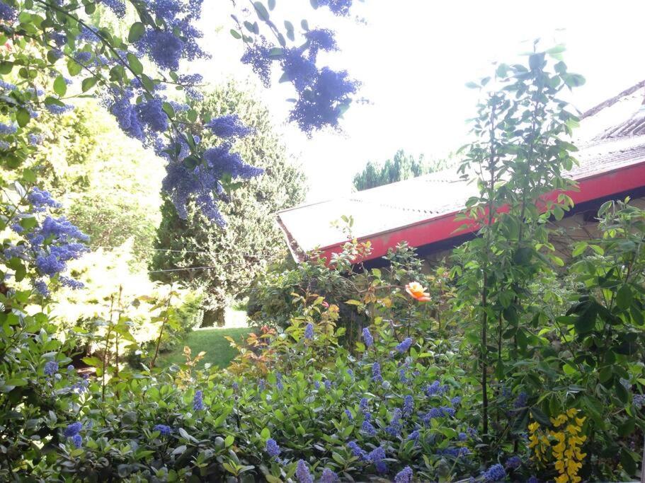 Holiday home Gardeners Delight La Casita Barrio Chapelco San Martin de los Andes