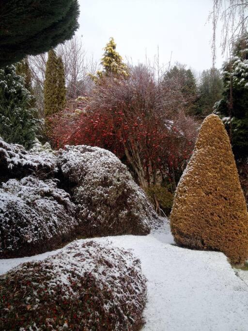 Holiday home Gardeners Delight La Casita Barrio Chapelco San Martin de los Andes