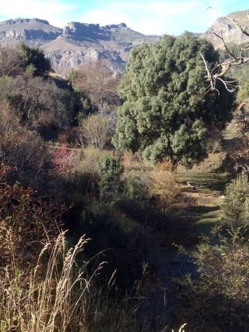 Gardeners Delight La Casita Barrio Chapelco * San Martin de los Andes