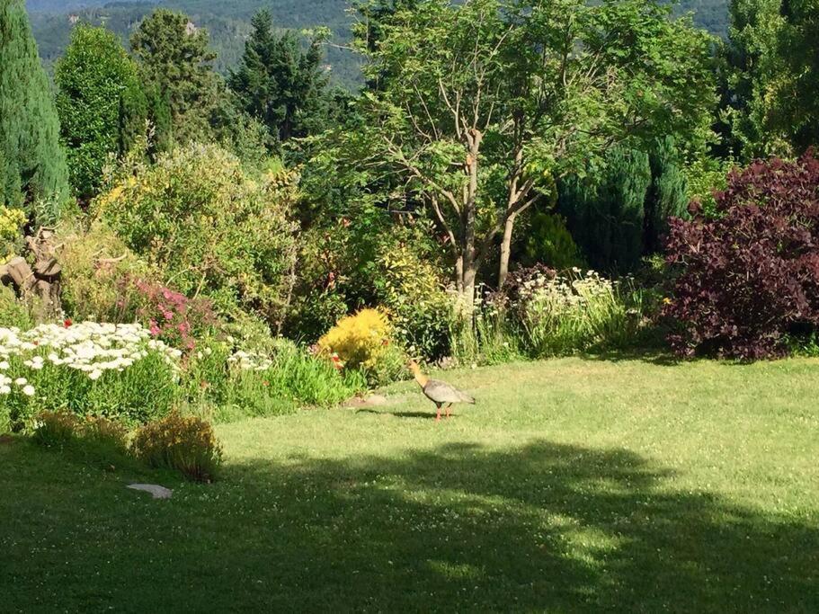 Gardeners Delight La Casita Barrio Chapelco