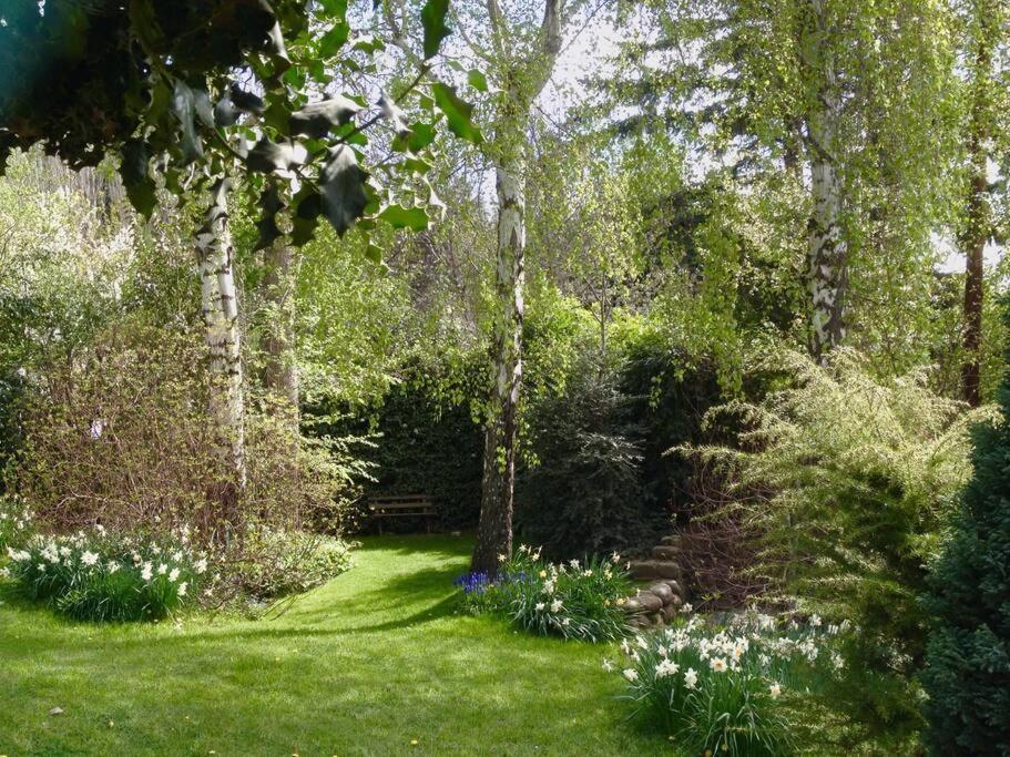Gardeners Delight La Casita Barrio Chapelco Holiday home *