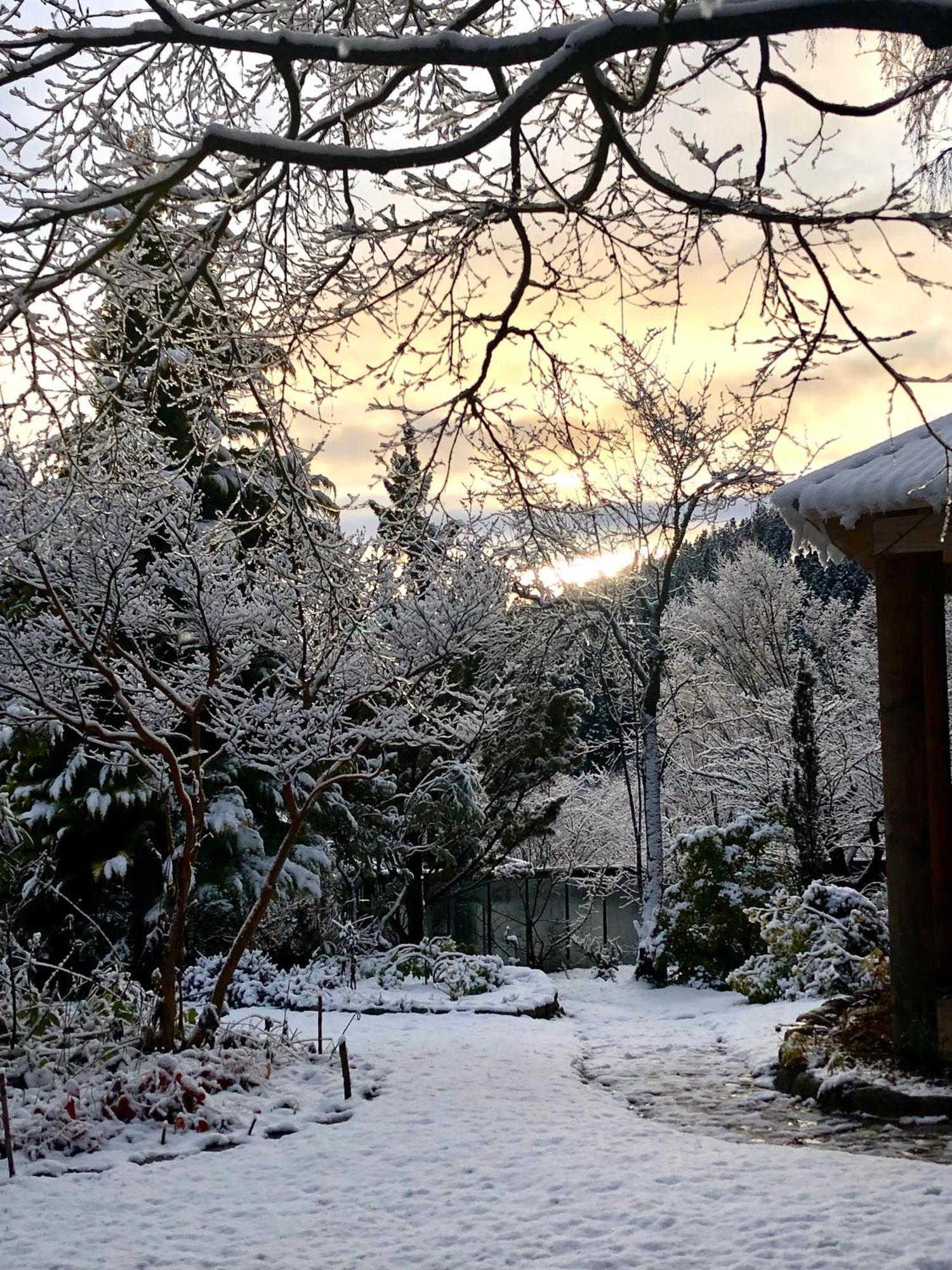 Gardeners Delight La Casita Barrio Chapelco Holiday home *