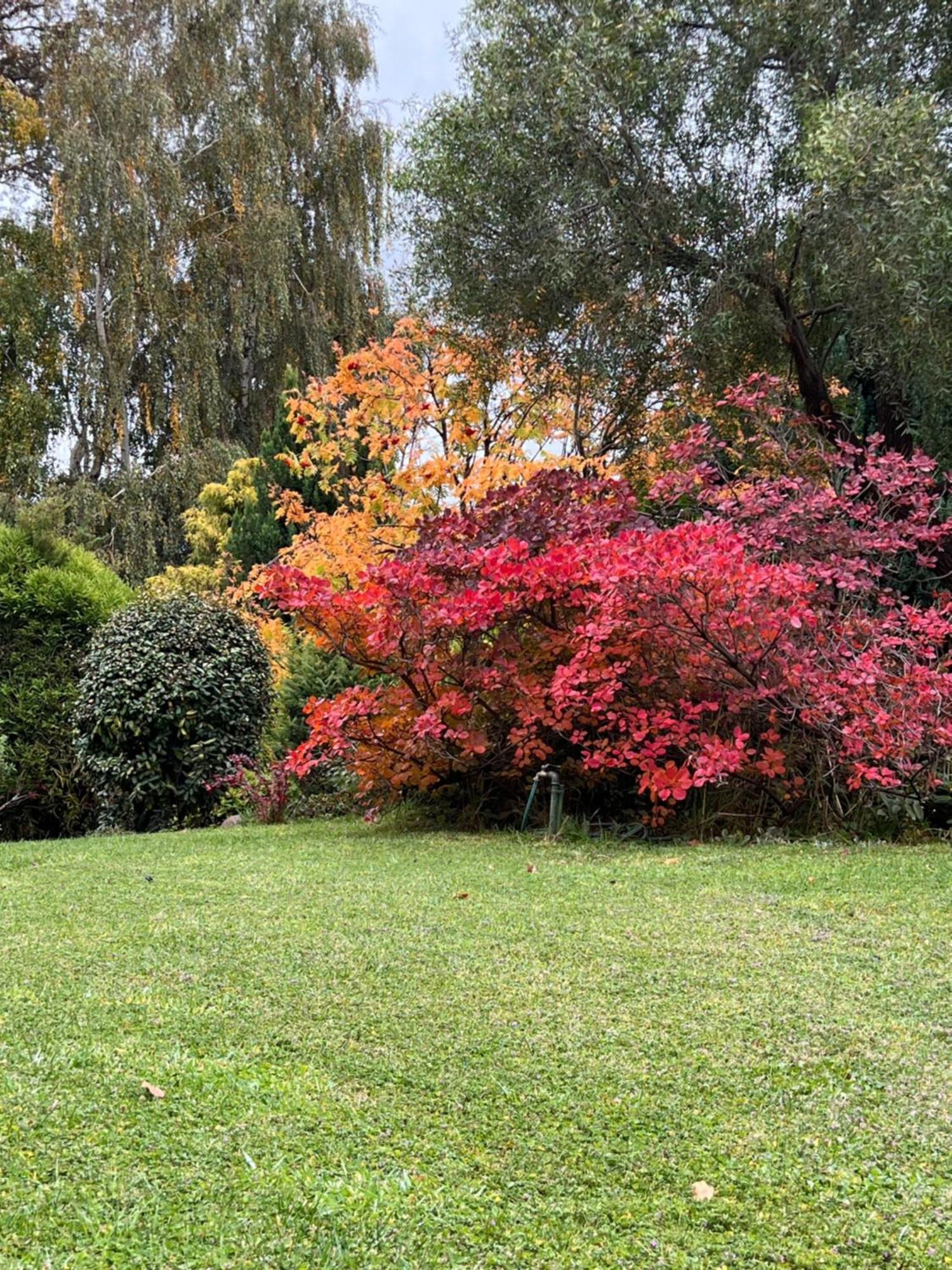 Holiday home Gardeners Delight La Casita Barrio Chapelco San Martin de los Andes